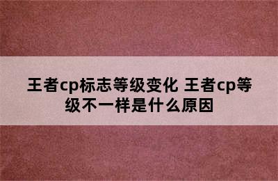 王者cp标志等级变化 王者cp等级不一样是什么原因